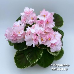 Р-Карамель (В. Зуб)